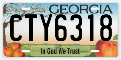 GA license plate CTY6318