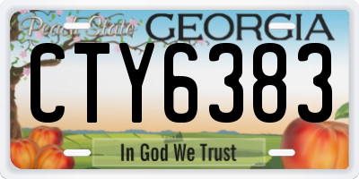 GA license plate CTY6383