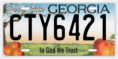 GA license plate CTY6421
