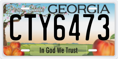 GA license plate CTY6473