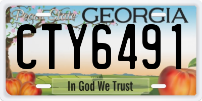 GA license plate CTY6491
