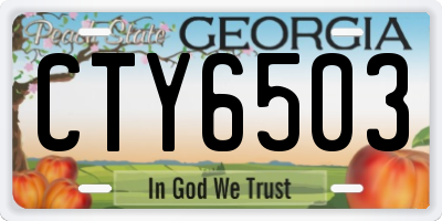GA license plate CTY6503