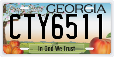GA license plate CTY6511