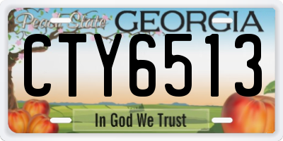 GA license plate CTY6513