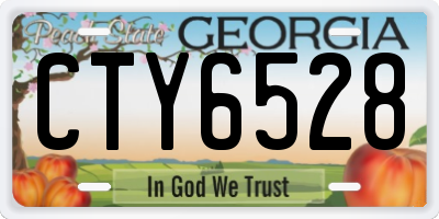 GA license plate CTY6528