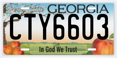 GA license plate CTY6603