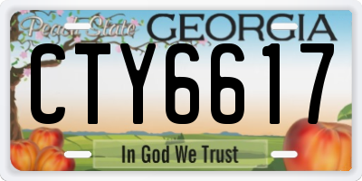 GA license plate CTY6617
