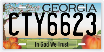 GA license plate CTY6623