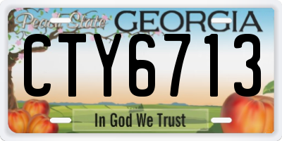 GA license plate CTY6713