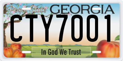 GA license plate CTY7001