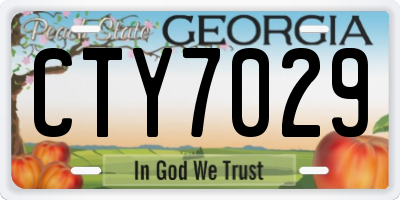 GA license plate CTY7029