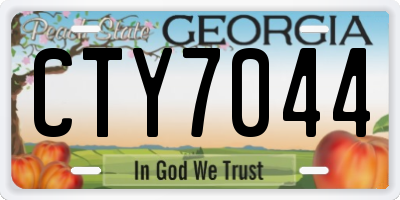 GA license plate CTY7044