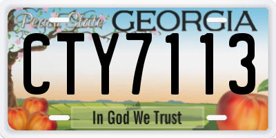 GA license plate CTY7113