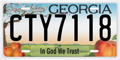 GA license plate CTY7118
