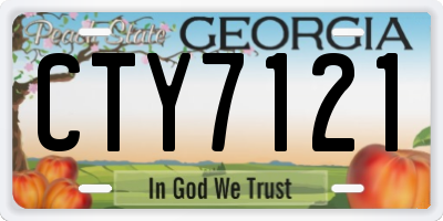 GA license plate CTY7121