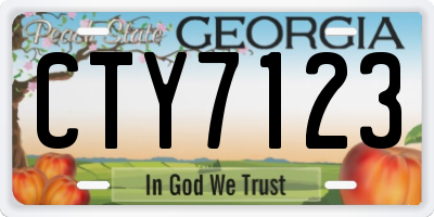 GA license plate CTY7123