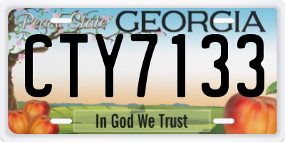 GA license plate CTY7133