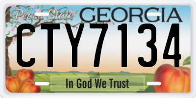 GA license plate CTY7134
