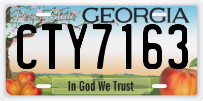 GA license plate CTY7163
