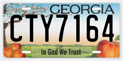 GA license plate CTY7164