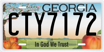 GA license plate CTY7172