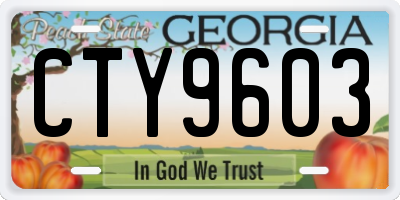 GA license plate CTY9603