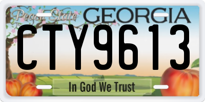 GA license plate CTY9613