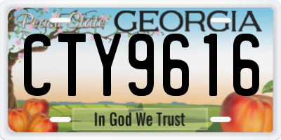 GA license plate CTY9616