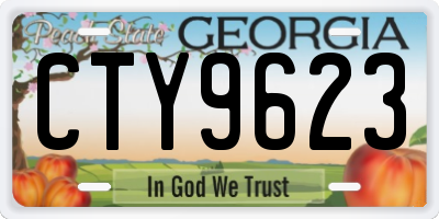 GA license plate CTY9623