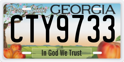GA license plate CTY9733