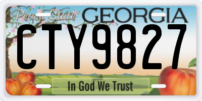 GA license plate CTY9827