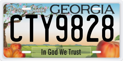 GA license plate CTY9828