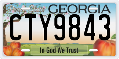GA license plate CTY9843