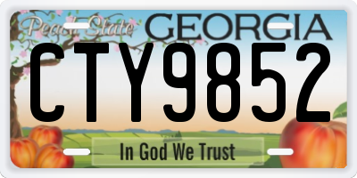 GA license plate CTY9852