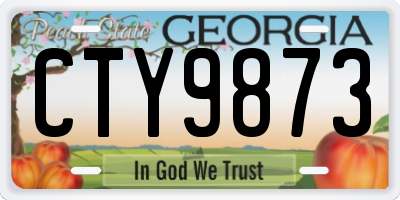 GA license plate CTY9873
