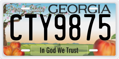 GA license plate CTY9875