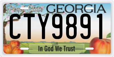 GA license plate CTY9891