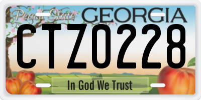 GA license plate CTZ0228