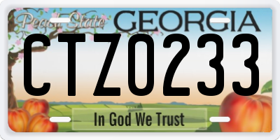 GA license plate CTZ0233