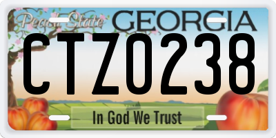 GA license plate CTZ0238