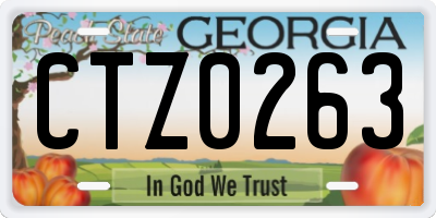 GA license plate CTZ0263