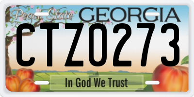 GA license plate CTZ0273