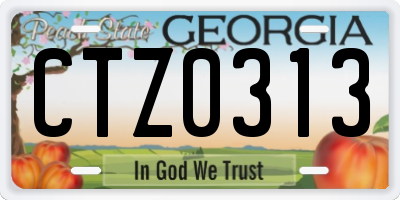 GA license plate CTZ0313