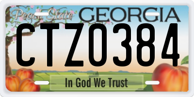 GA license plate CTZ0384