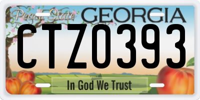 GA license plate CTZ0393
