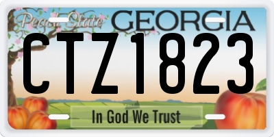 GA license plate CTZ1823