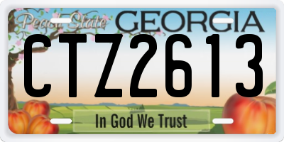 GA license plate CTZ2613