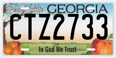 GA license plate CTZ2733