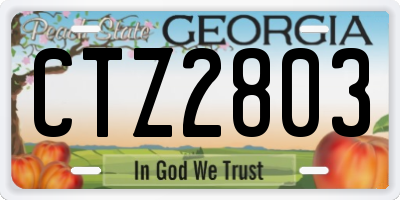 GA license plate CTZ2803
