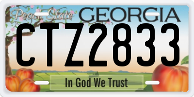 GA license plate CTZ2833